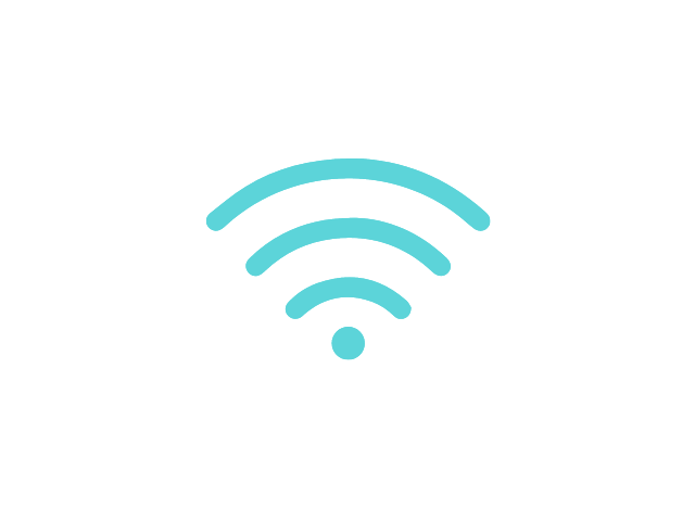 Wifi Functionality